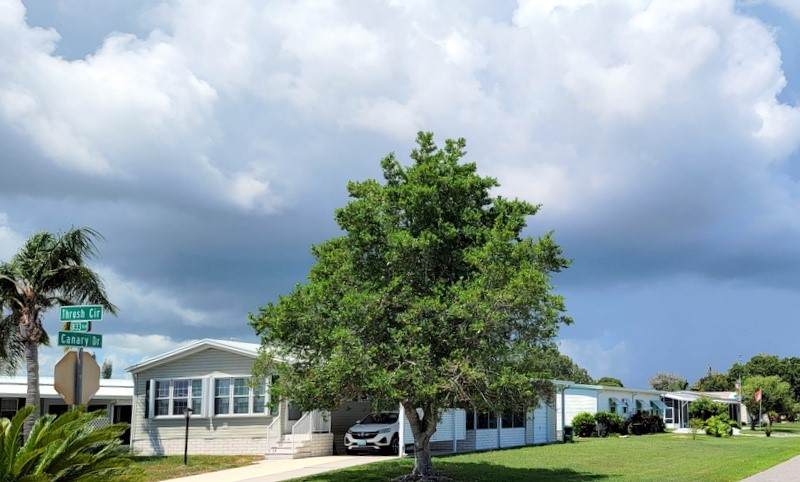 902 Thrush Circle - Photo 1