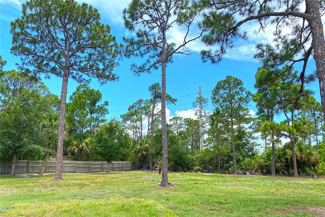 1594 Ocean Cove Street - Photo 1