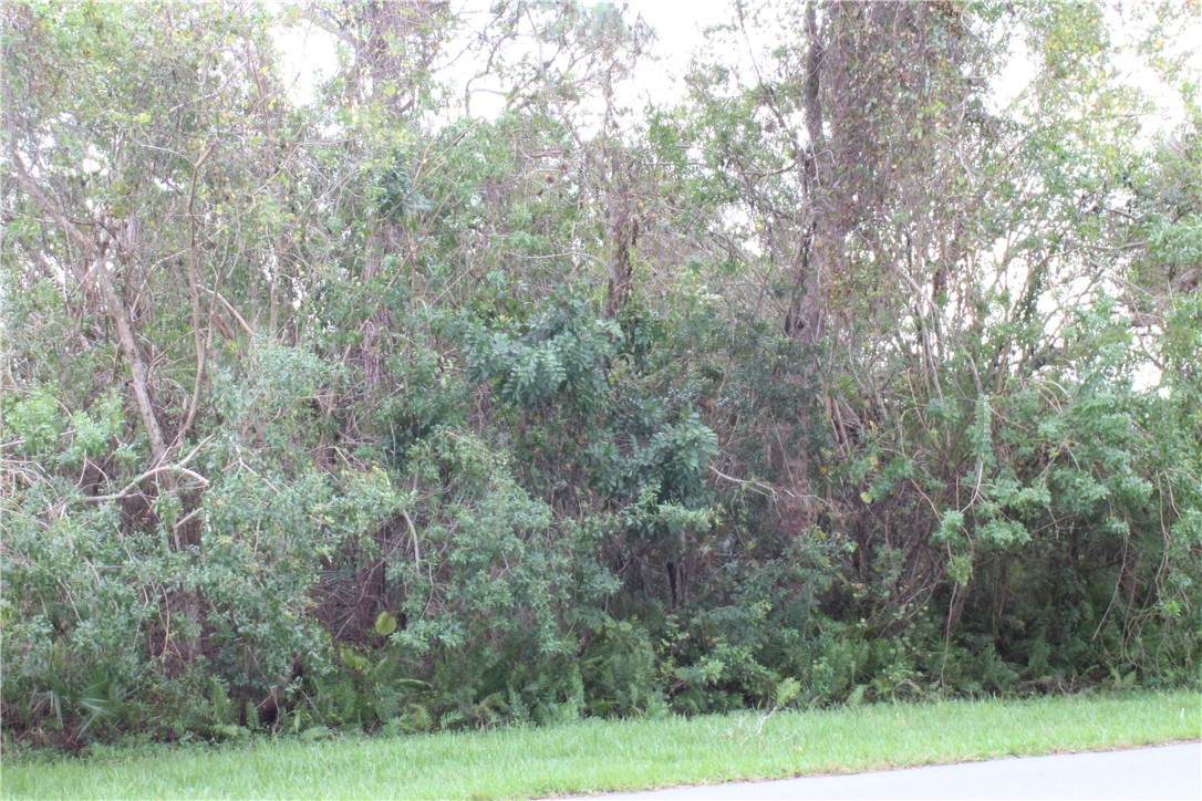 714 Carnation Drive - Photo 1
