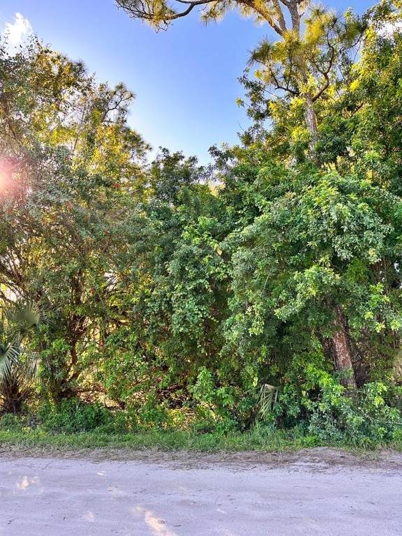 2125 87th Avenue - Photo 1