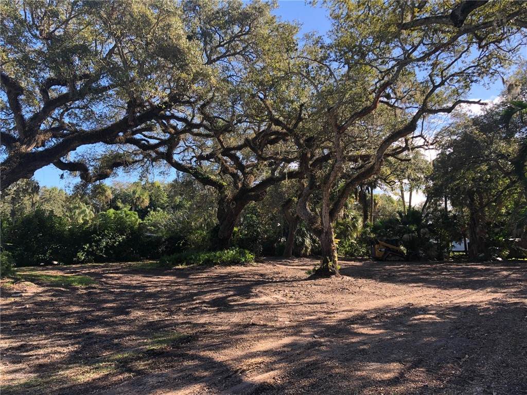 646 Camelia Lane - Photo 1