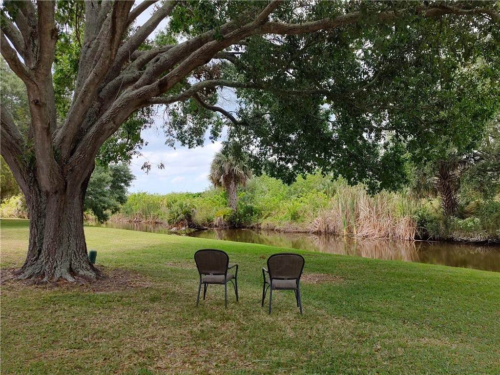 451 Papaya Circle - Photo 1