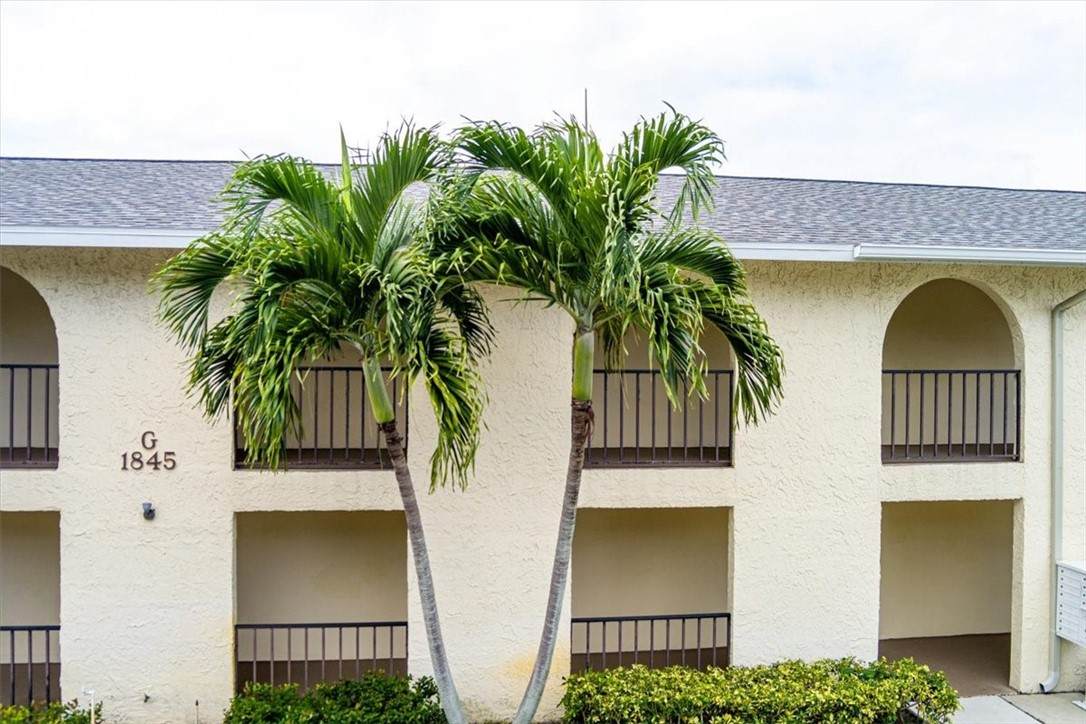 1845 Cobia Drive - Photo 1