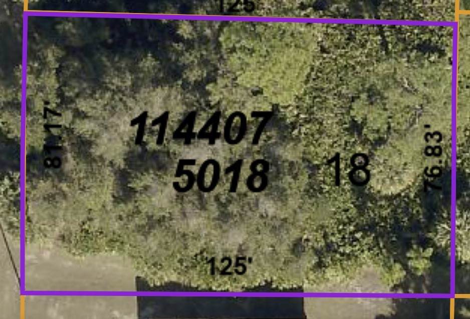 Lot 18 Kenoska Street - Photo 1