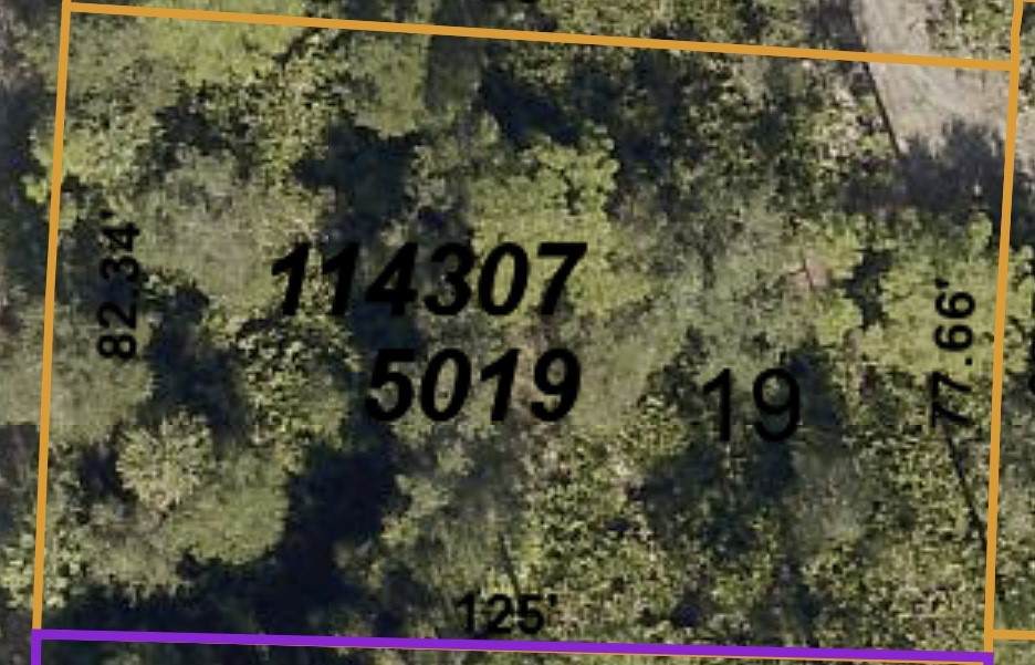 Lot 19 Kenoska Street - Photo 1