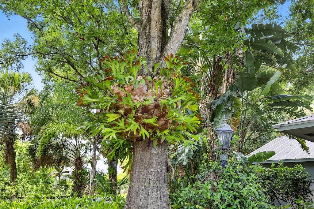 https://bt-photos.global.ssl.fastly.net/indianriver/orig_boomver_1_298628-2.jpg
