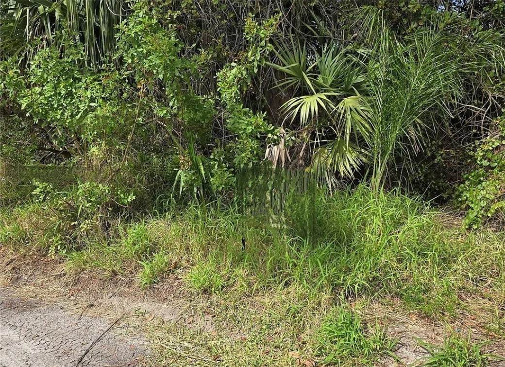 https://bt-photos.global.ssl.fastly.net/indianriver/orig_boomver_1_298793-2.jpg
