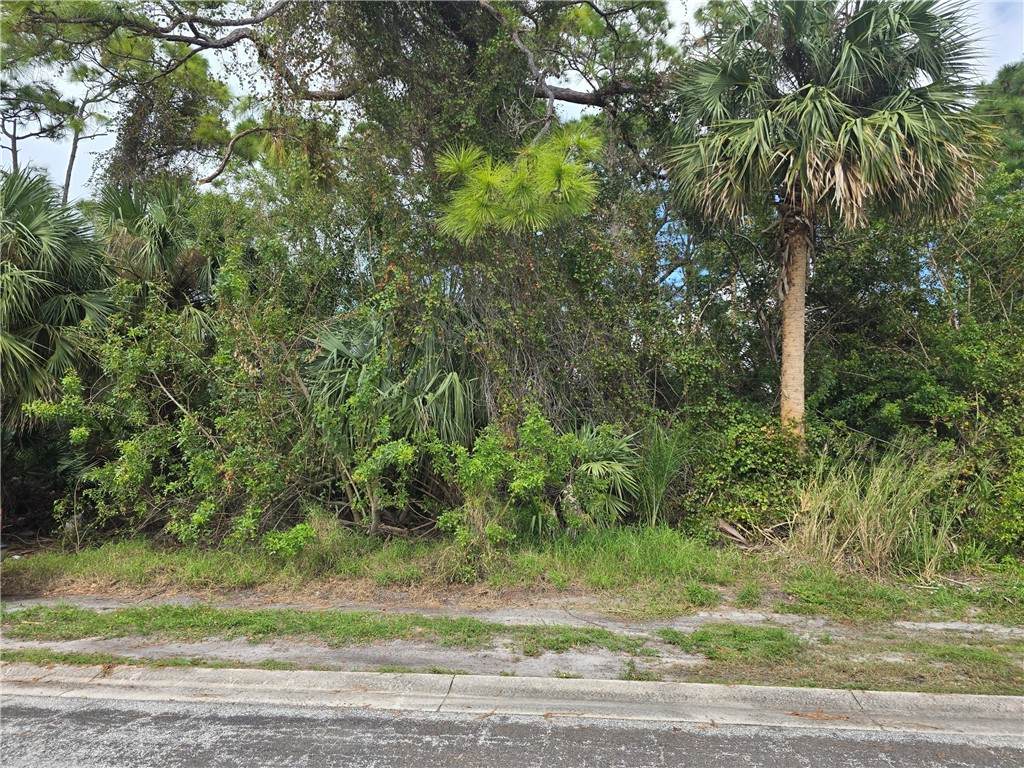 123 Cardinal Drive - Photo 1