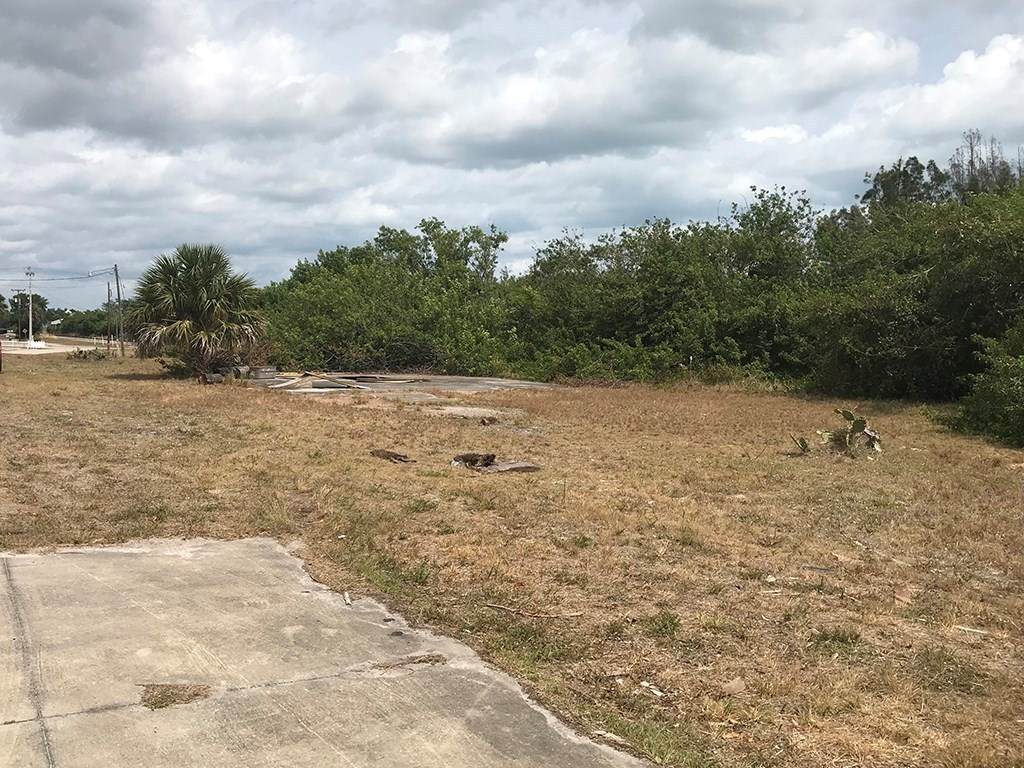 1120 Louisiana Avenue - Photo 1