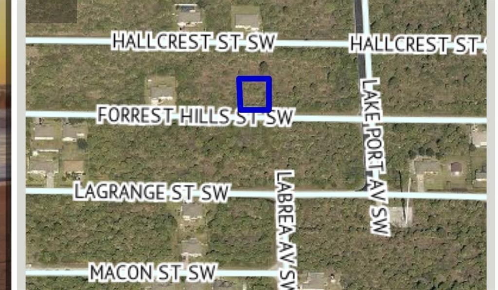 517 Forrest Hills Street - Photo 1