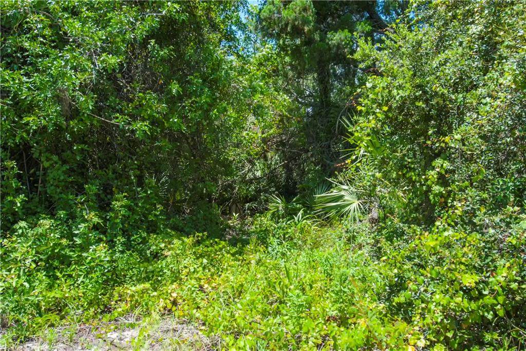 12870 80Th-Lot 5 Court - Photo 1