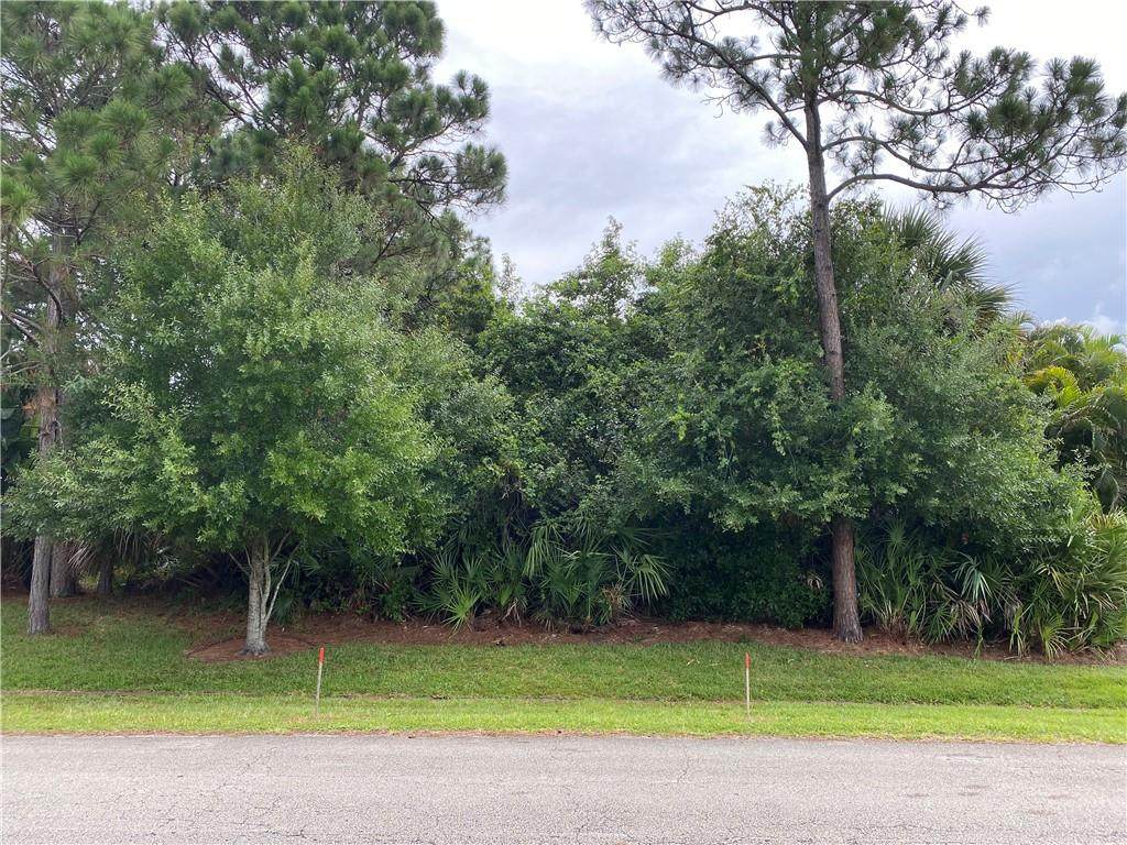 493 Seagrass Avenue - Photo 1