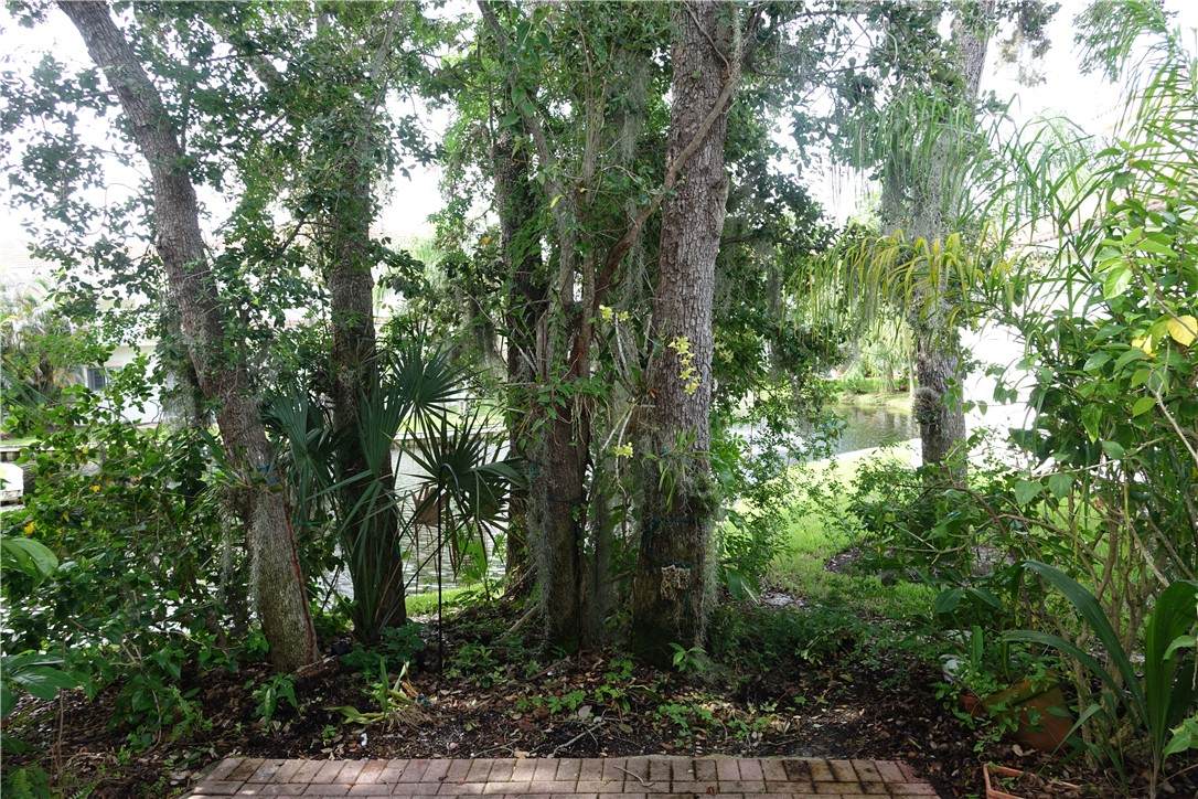 https://bt-photos.global.ssl.fastly.net/indianriver/orig_boomver_2_299185-2.jpg