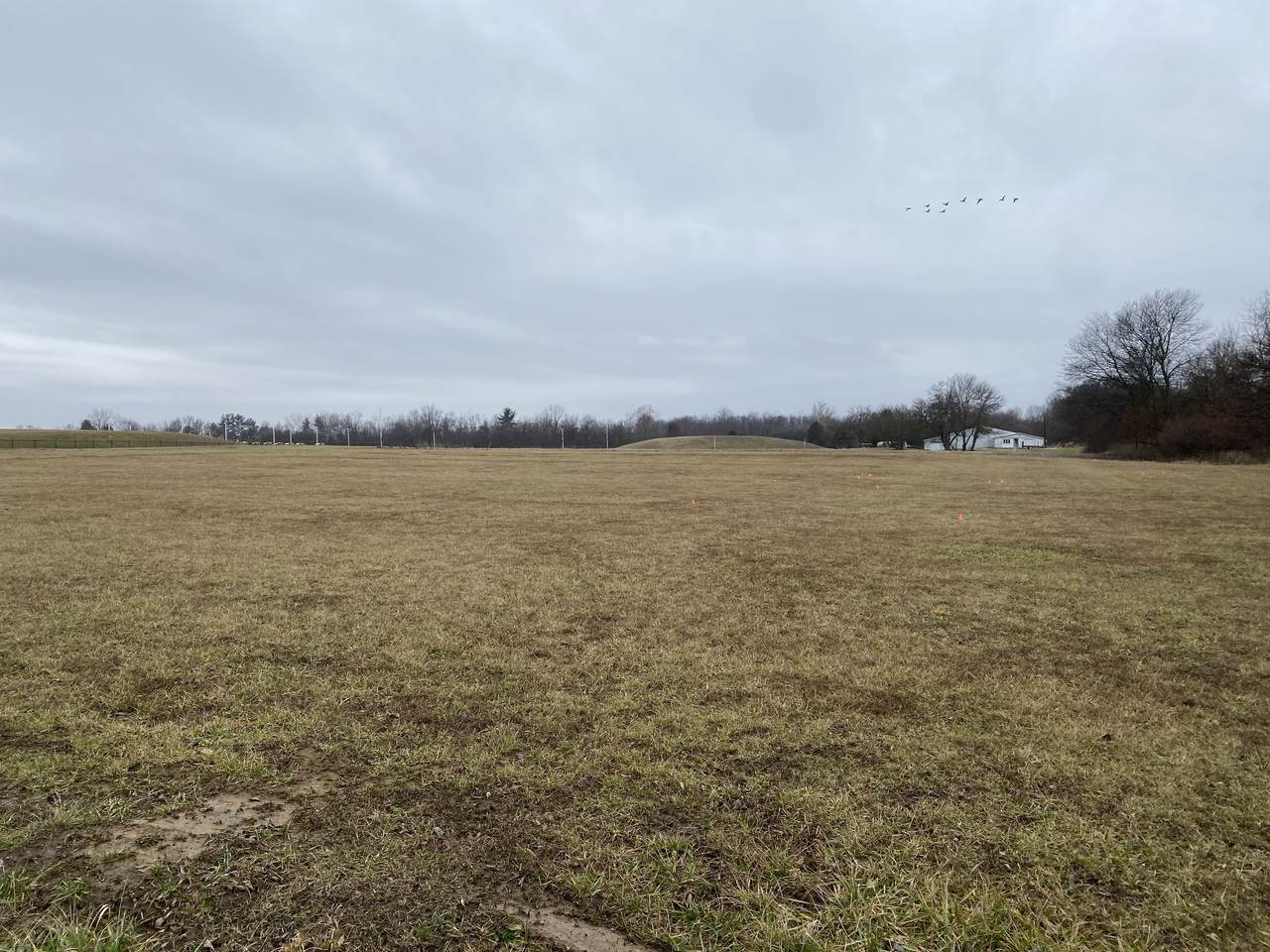 0 Western North Road - Photo 1