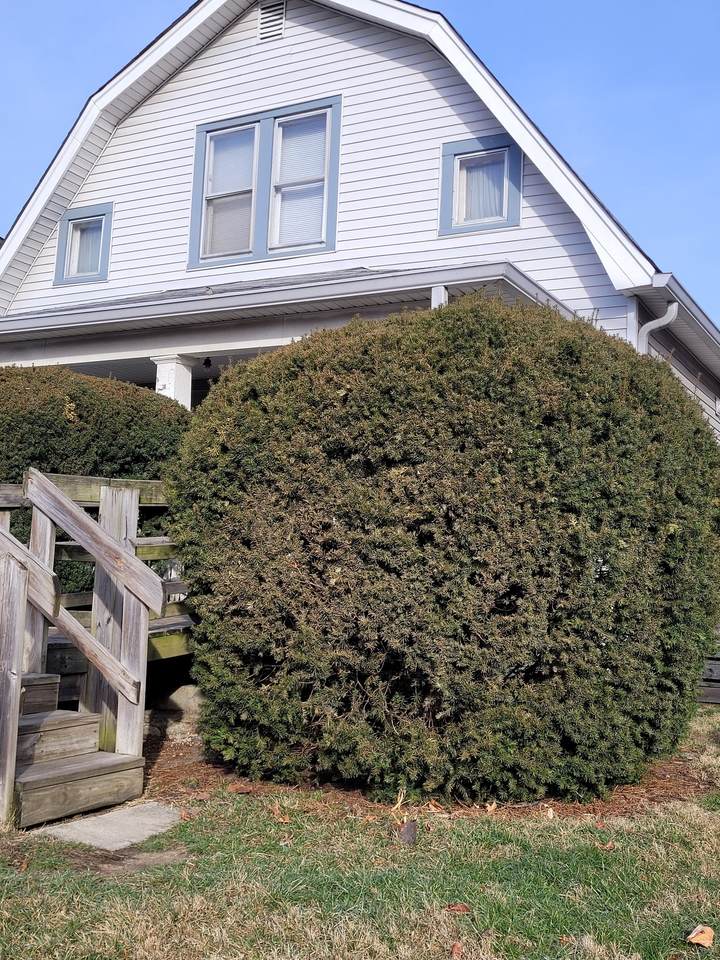 4806 New York Street - Photo 1