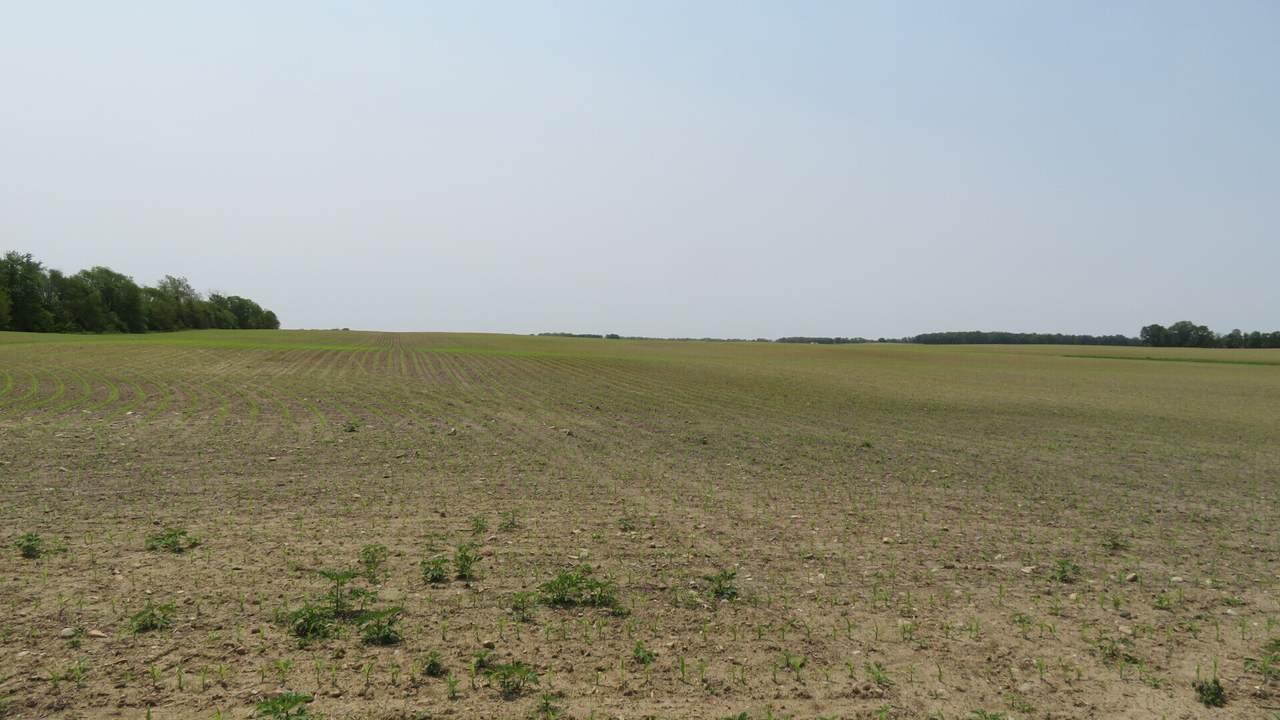 00 150 - Photo 1
