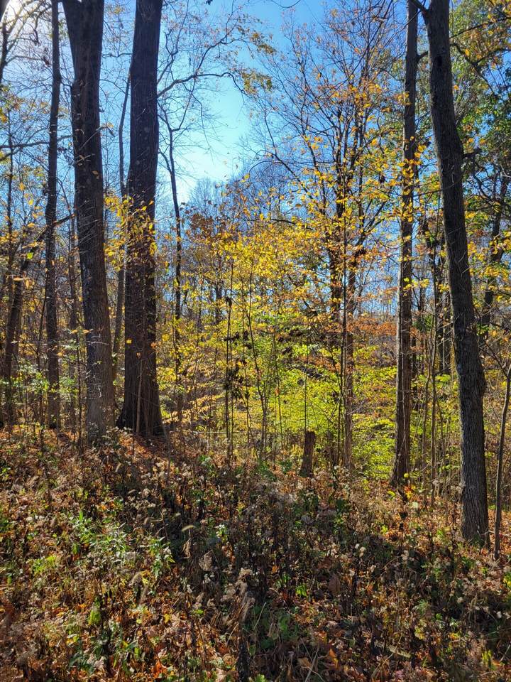 00 Valley Drive Drive - Photo 1