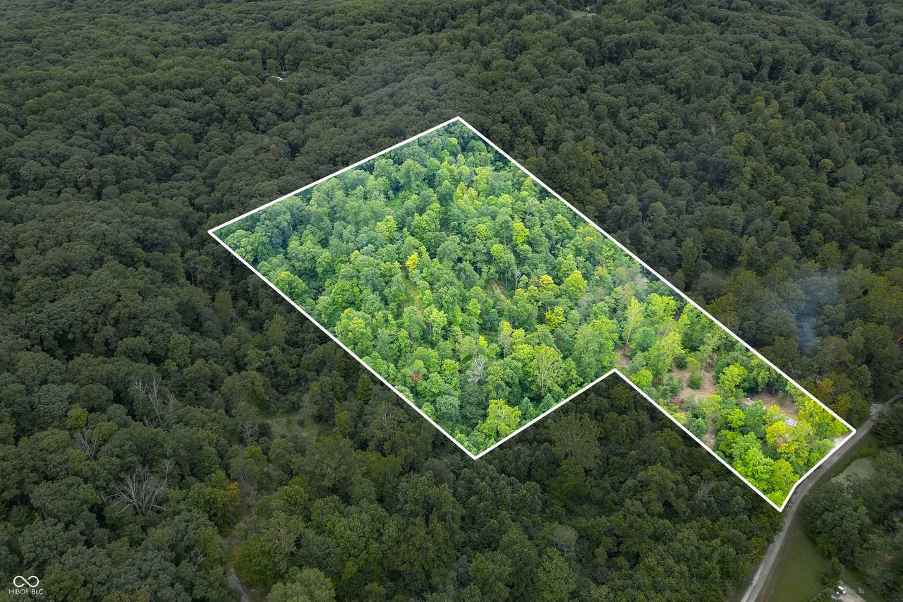 0 Goat Hollow Estates Lot 6 - Photo 1