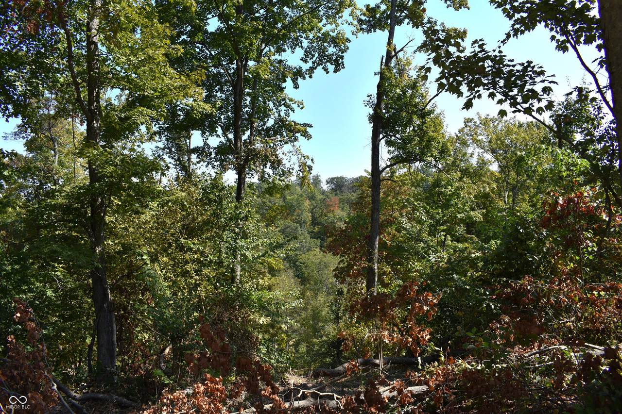 0 Goat Hollow Estate Lot 1 - Photo 1