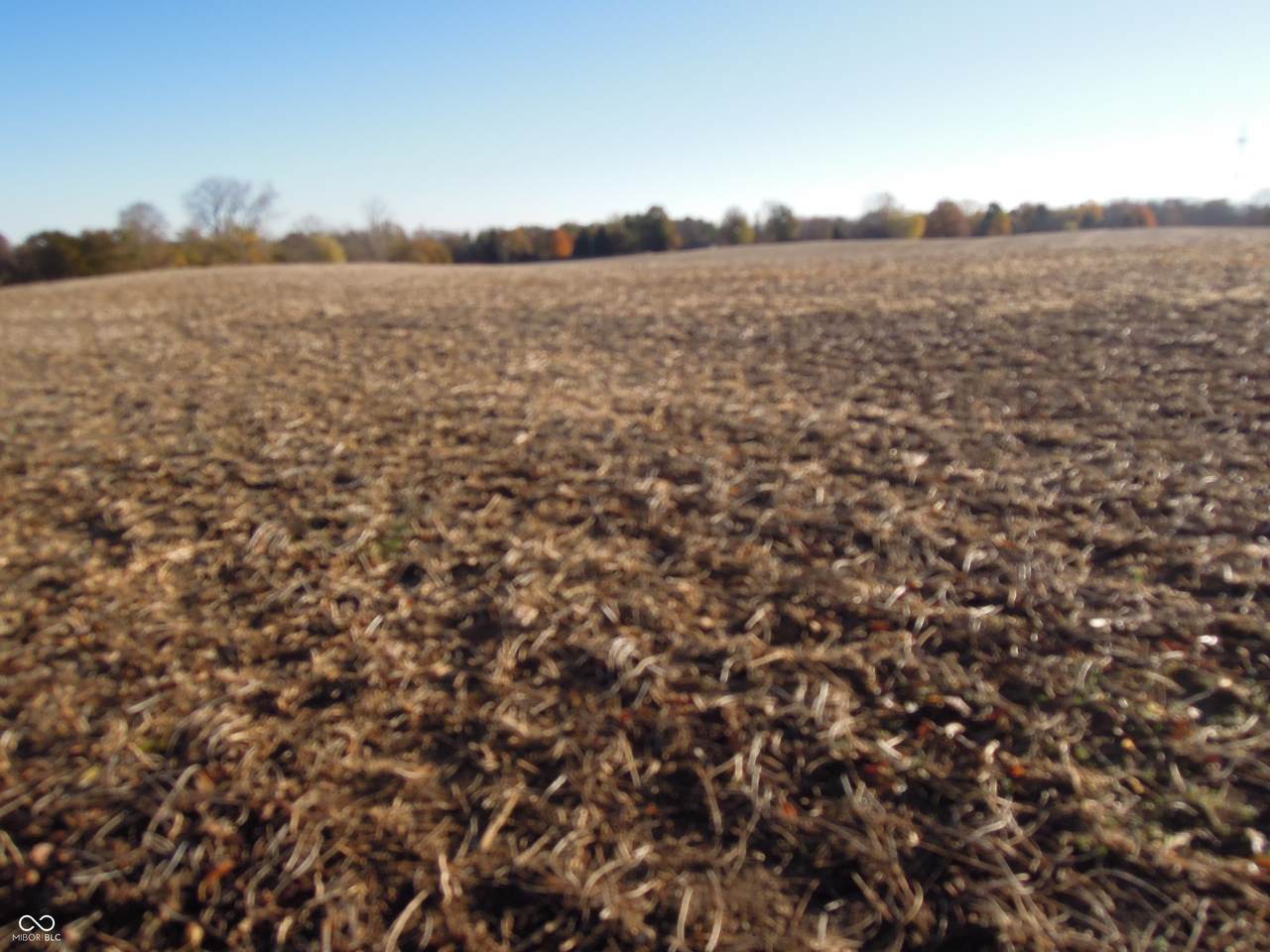 https://bt-photos.global.ssl.fastly.net/indy/1280_boomver_1_22011565-1.jpg