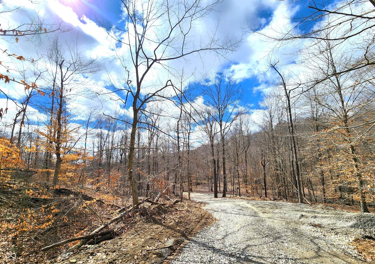Lot 2 Goat Hollow Estates Road - Photo 1