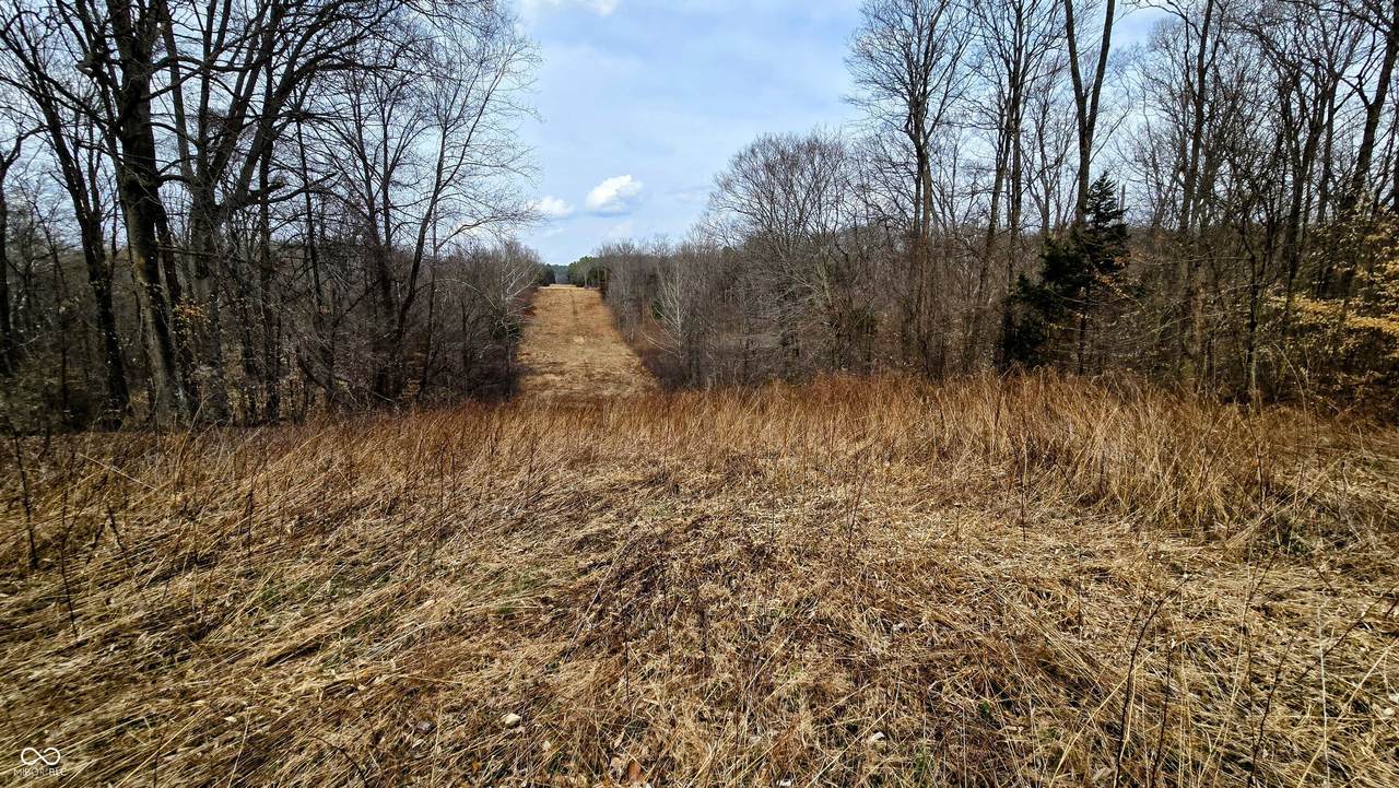 11000 County Road 650 - Photo 1