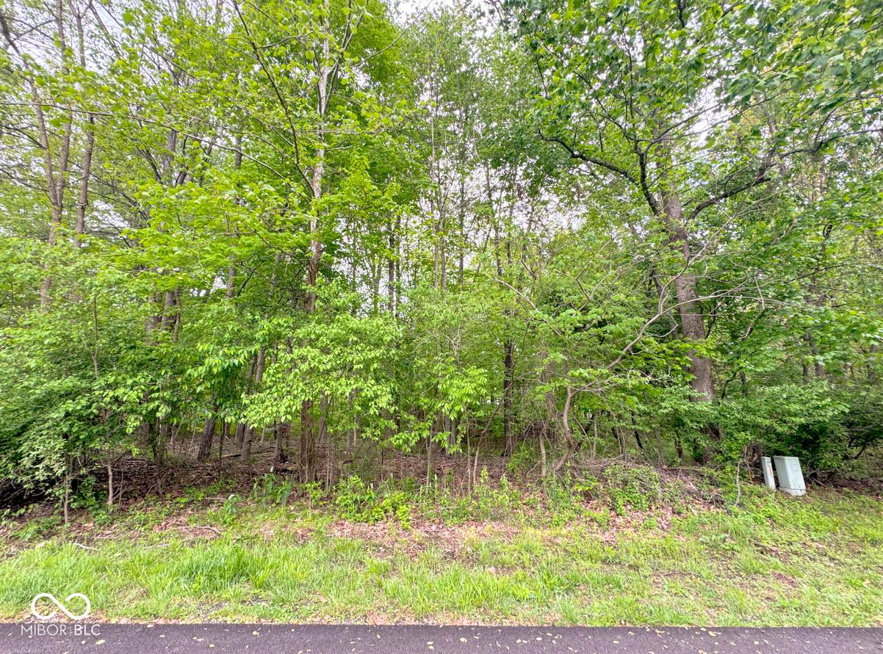 1555 Fox Cross Drive - Photo 1
