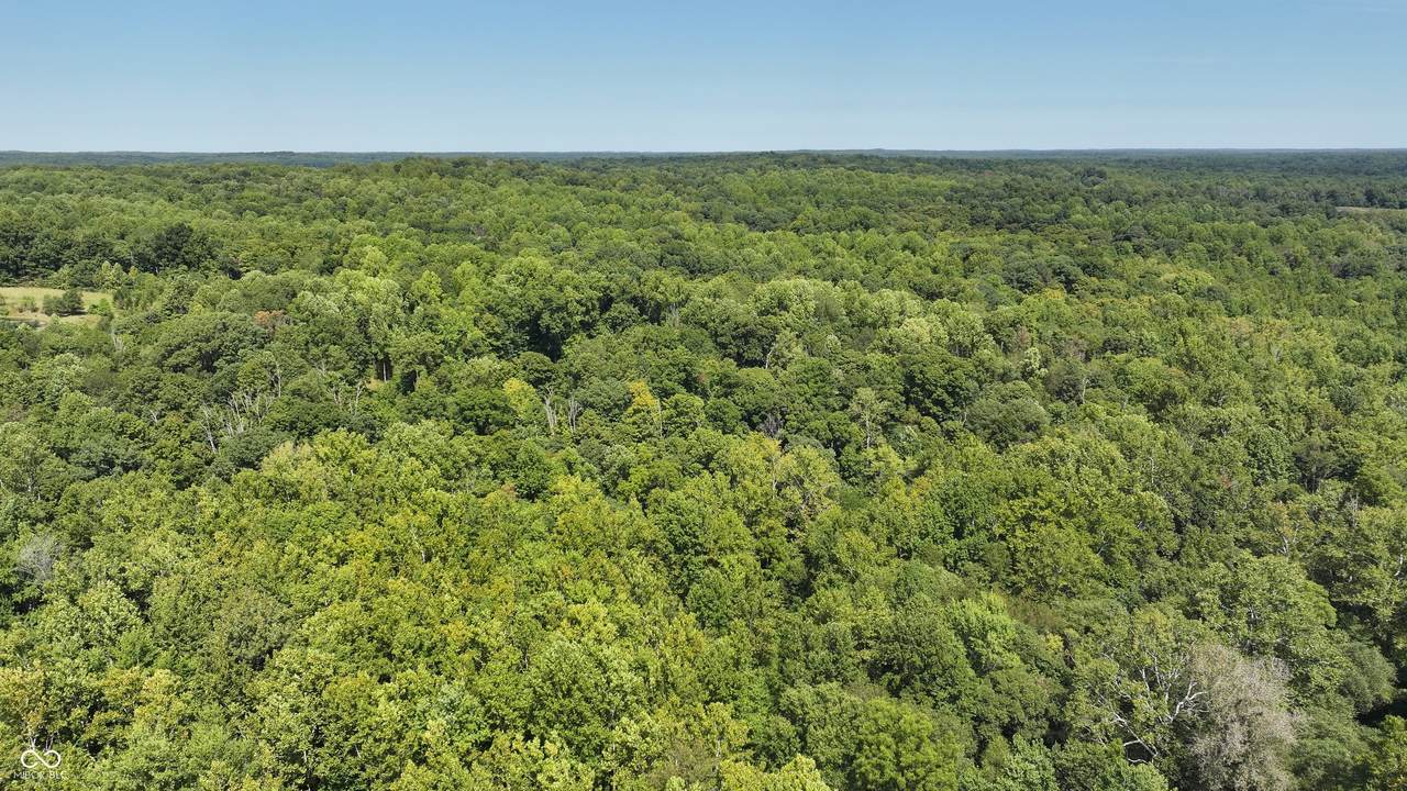 0 Fiscus Cemetery Road - Photo 1