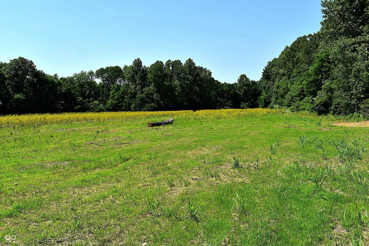 Lot 6 Whitetail Ridge - Photo 1