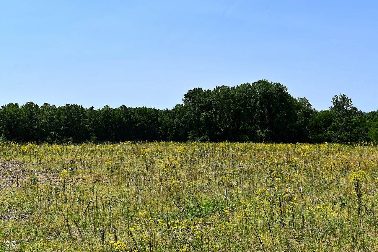 Lot 4 Whitetail Ridge - Photo 1