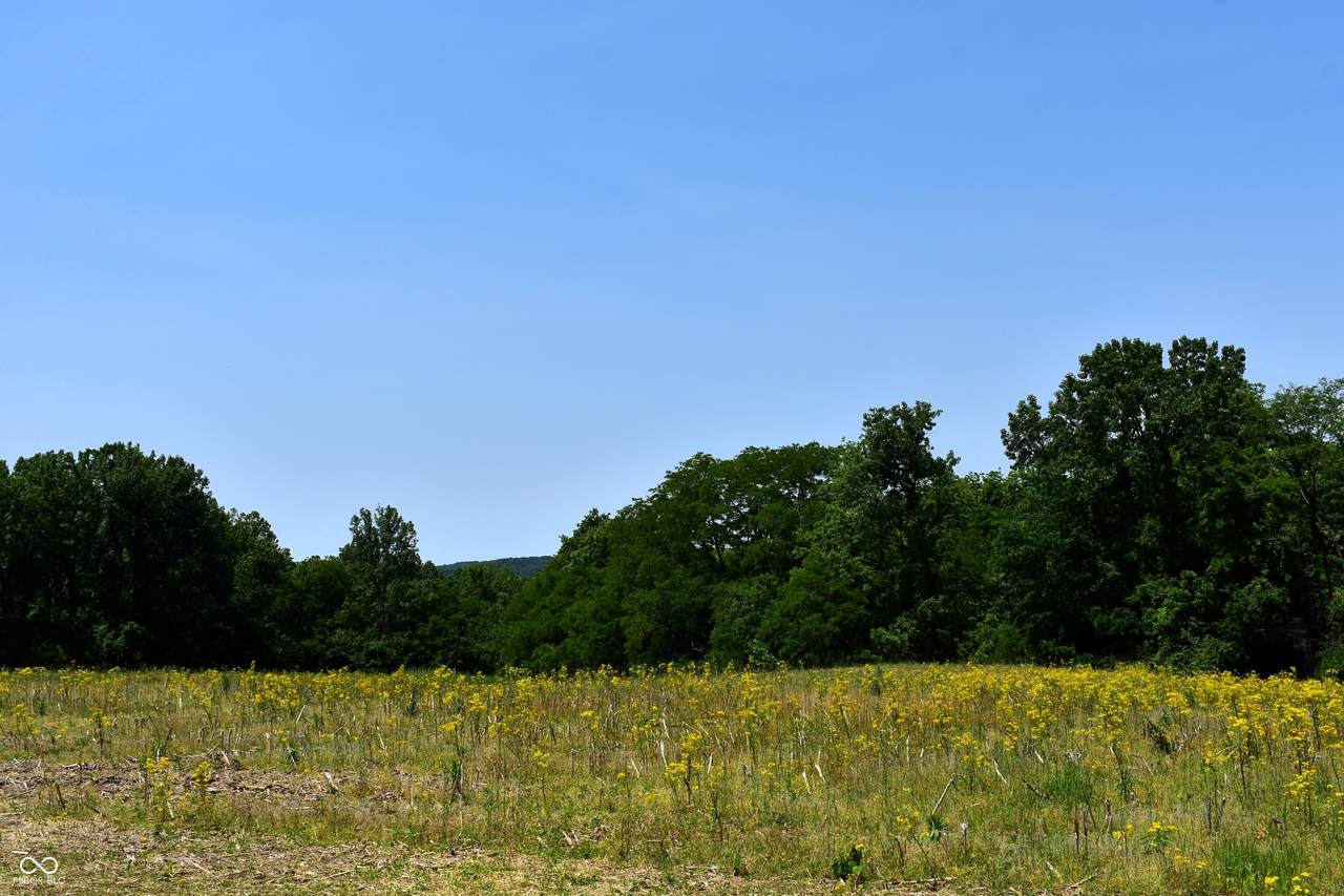 https://bt-photos.global.ssl.fastly.net/indy/1280_boomver_1_22042500-1.jpg