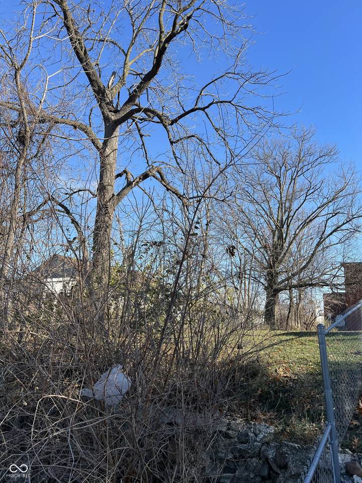 2057 Caroline Avenue - Photo 1