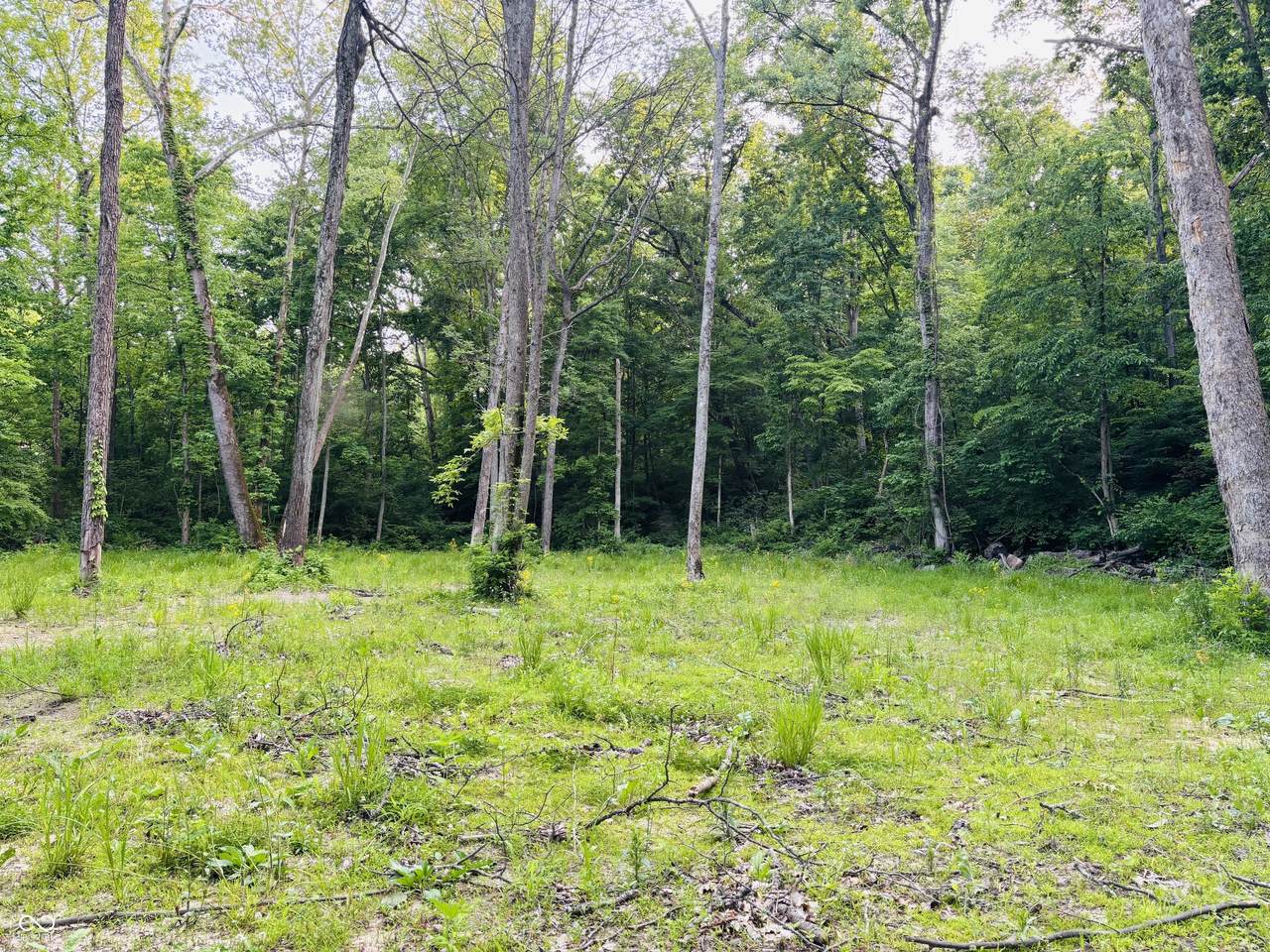 0 Laurel Road - Photo 1