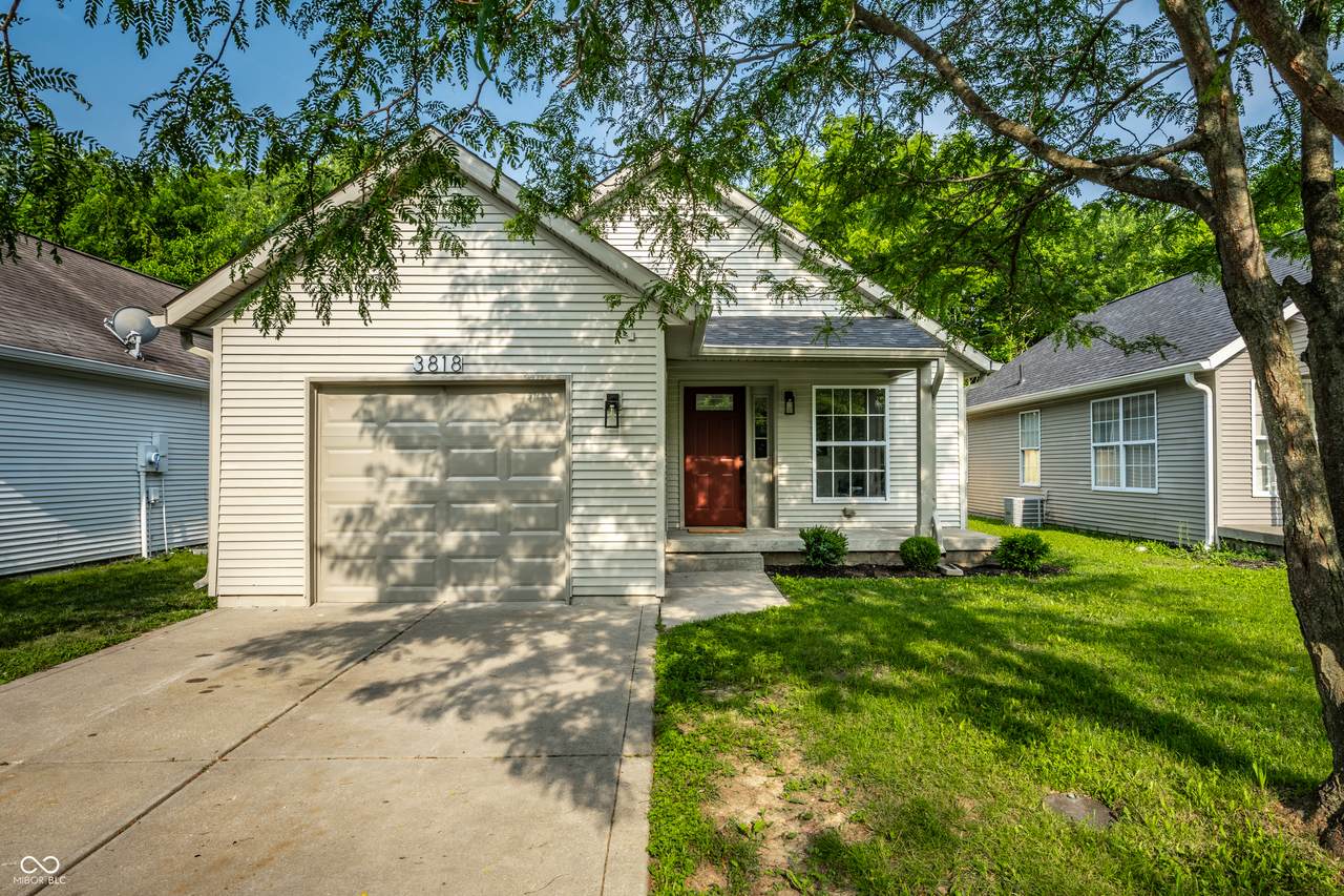 3818 Fetlock Drive - Photo 1
