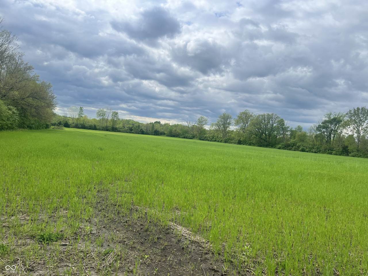 2500 German Church Road - Photo 1