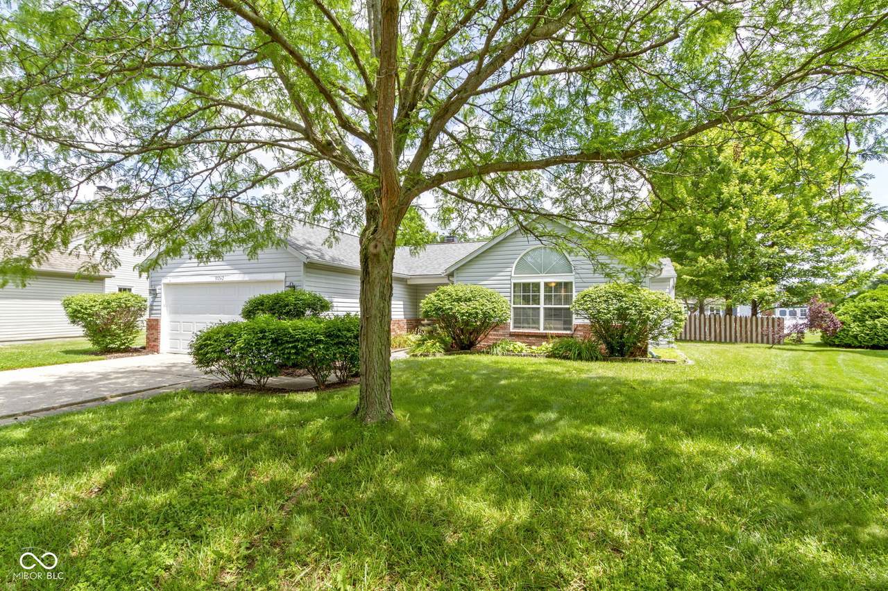10262 Carmine Drive - Photo 1