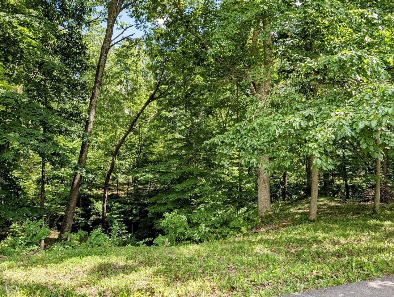 0 Cove Road - Photo 1