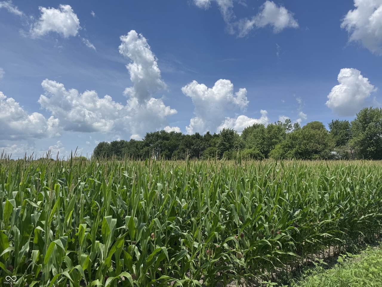 3010 State Road 39 - Photo 1