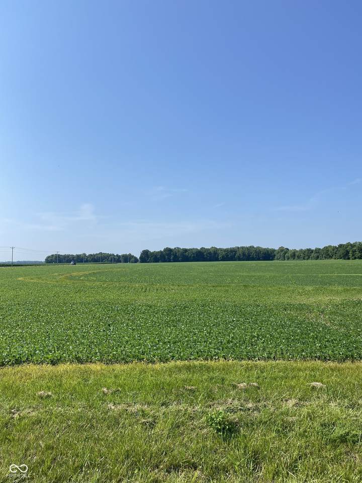 6879 Slab Road - Photo 1