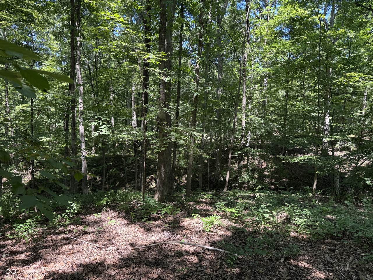 X Fox Court - Photo 1