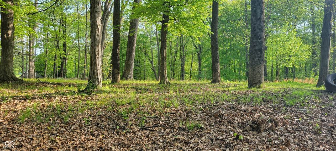 1462 Spirea Court - Photo 1