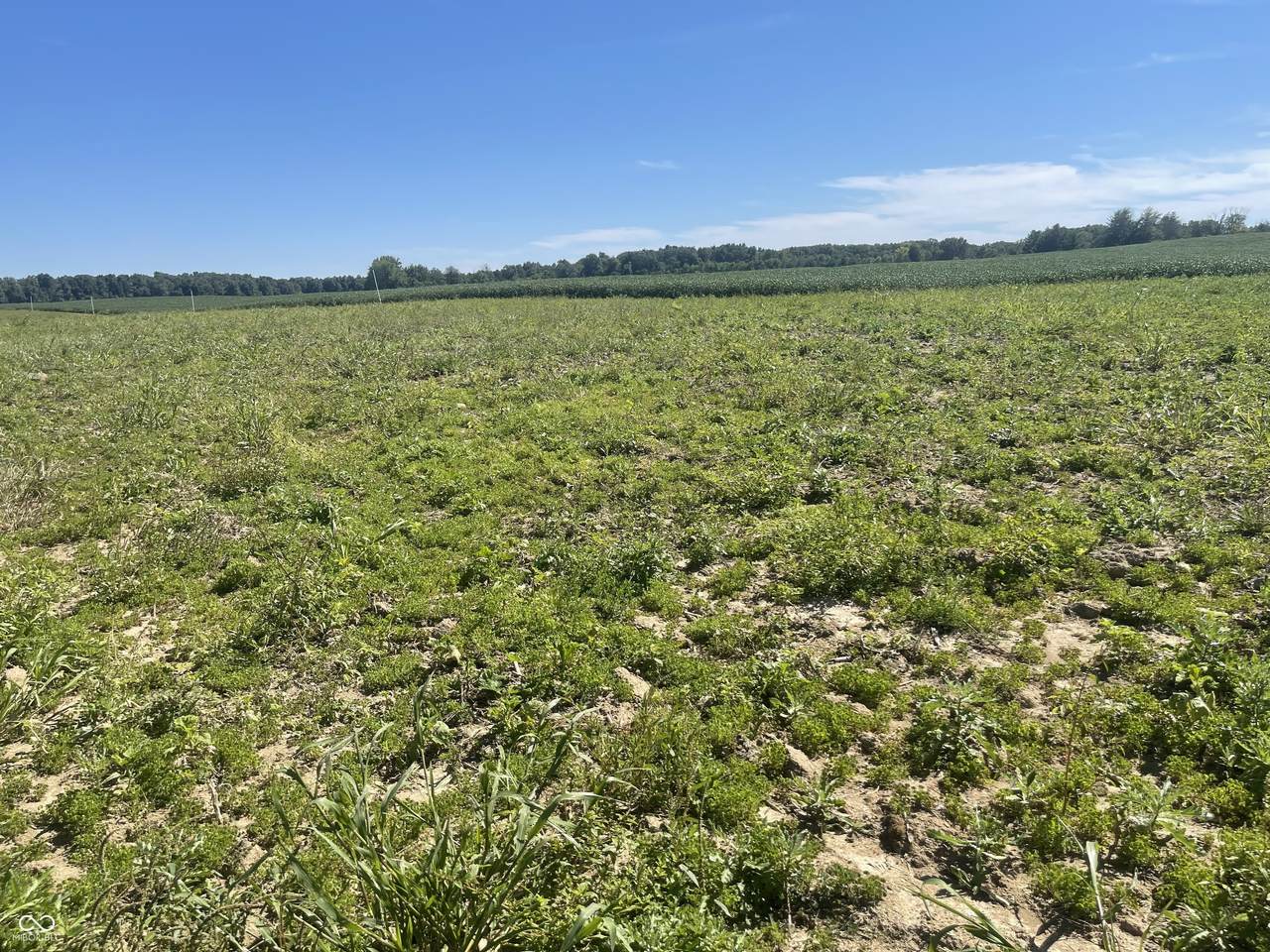 1 Cr 990 North Tract "G" - Photo 1