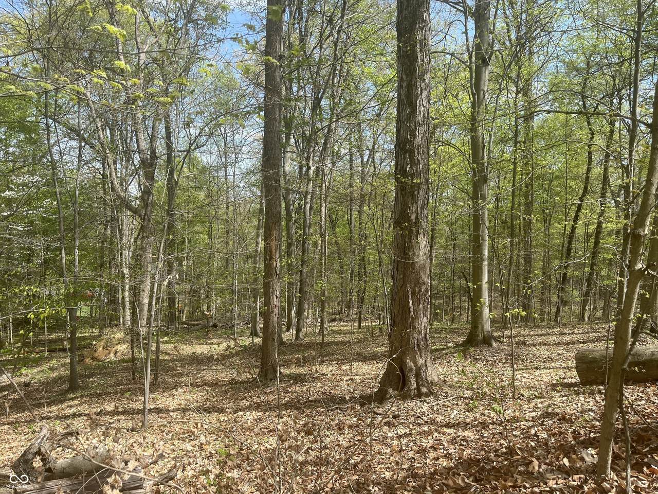 N Oxford Ct Oxford North Court - Photo 1