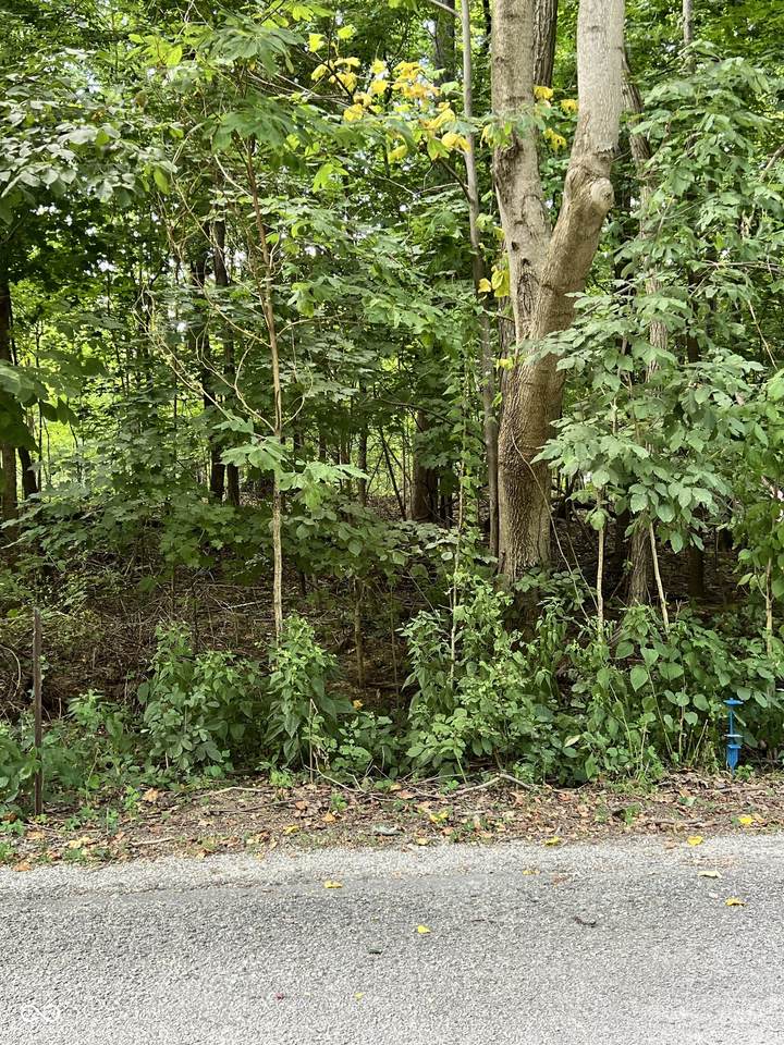 206 Victory Hill - Photo 1
