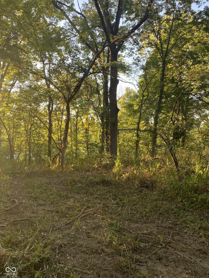 00 State Road 75 - Photo 1