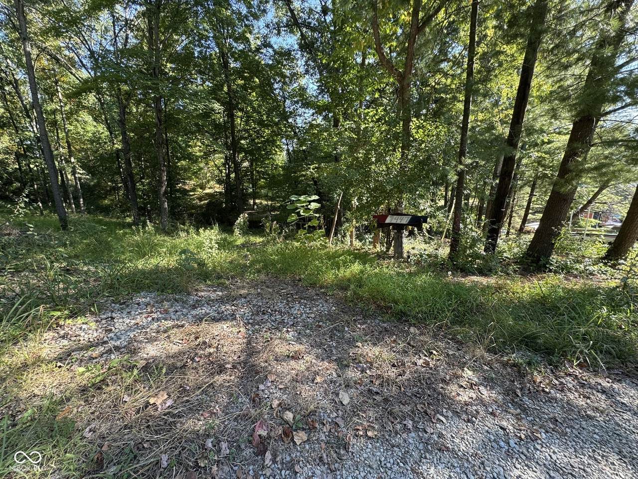 7447 Hackberry Drive - Photo 1