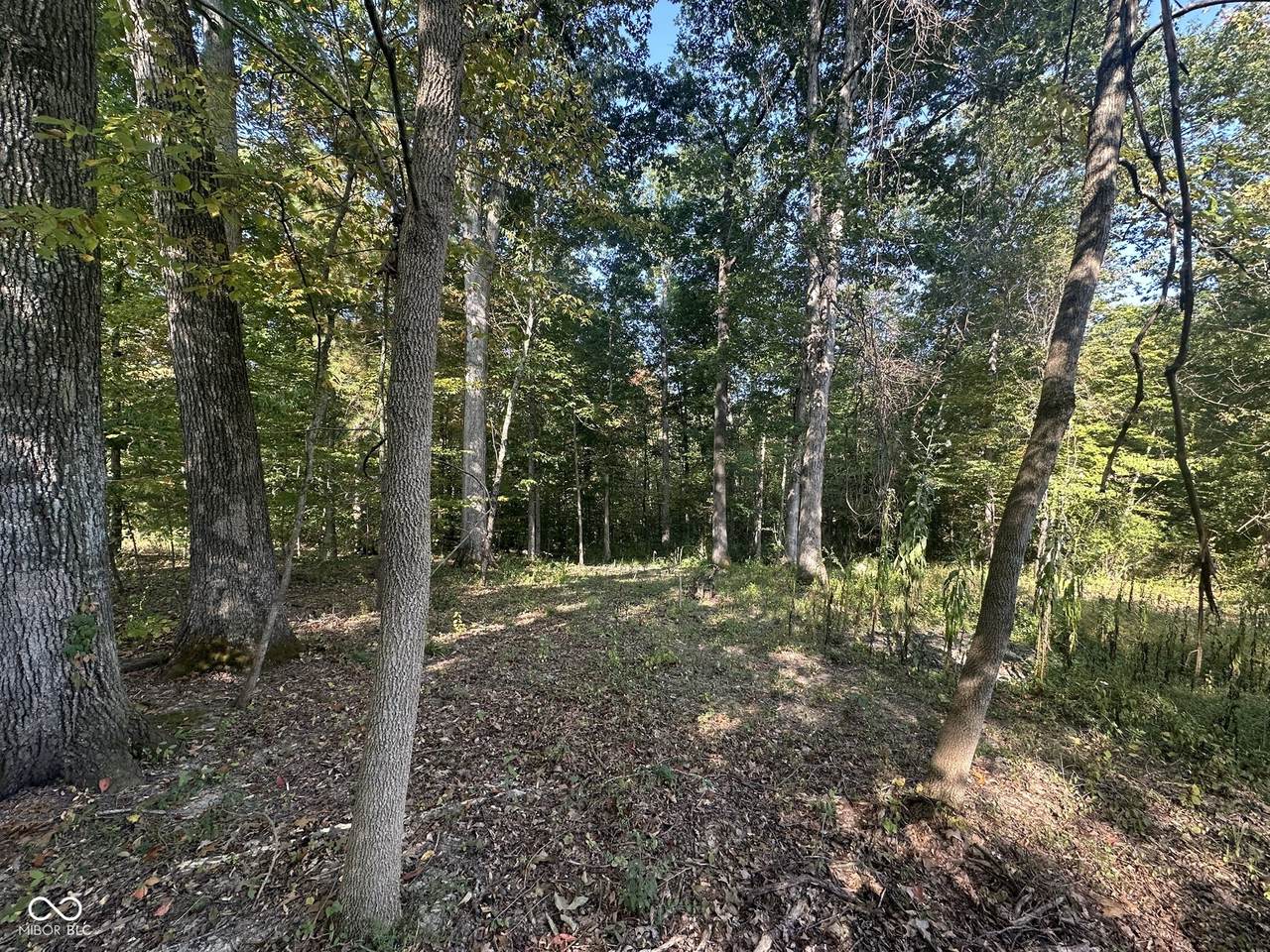 00 State Road 135 - Photo 1