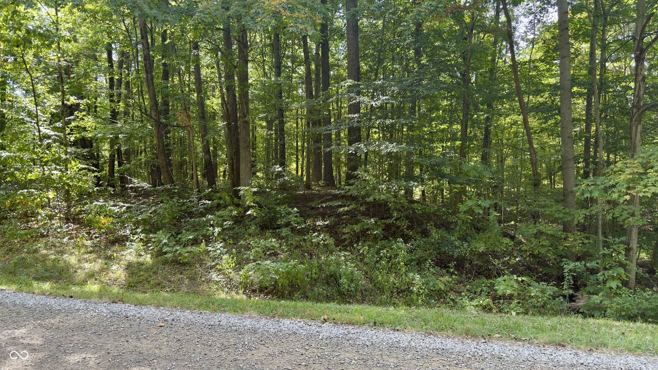 1070 Mohican Trail - Photo 1