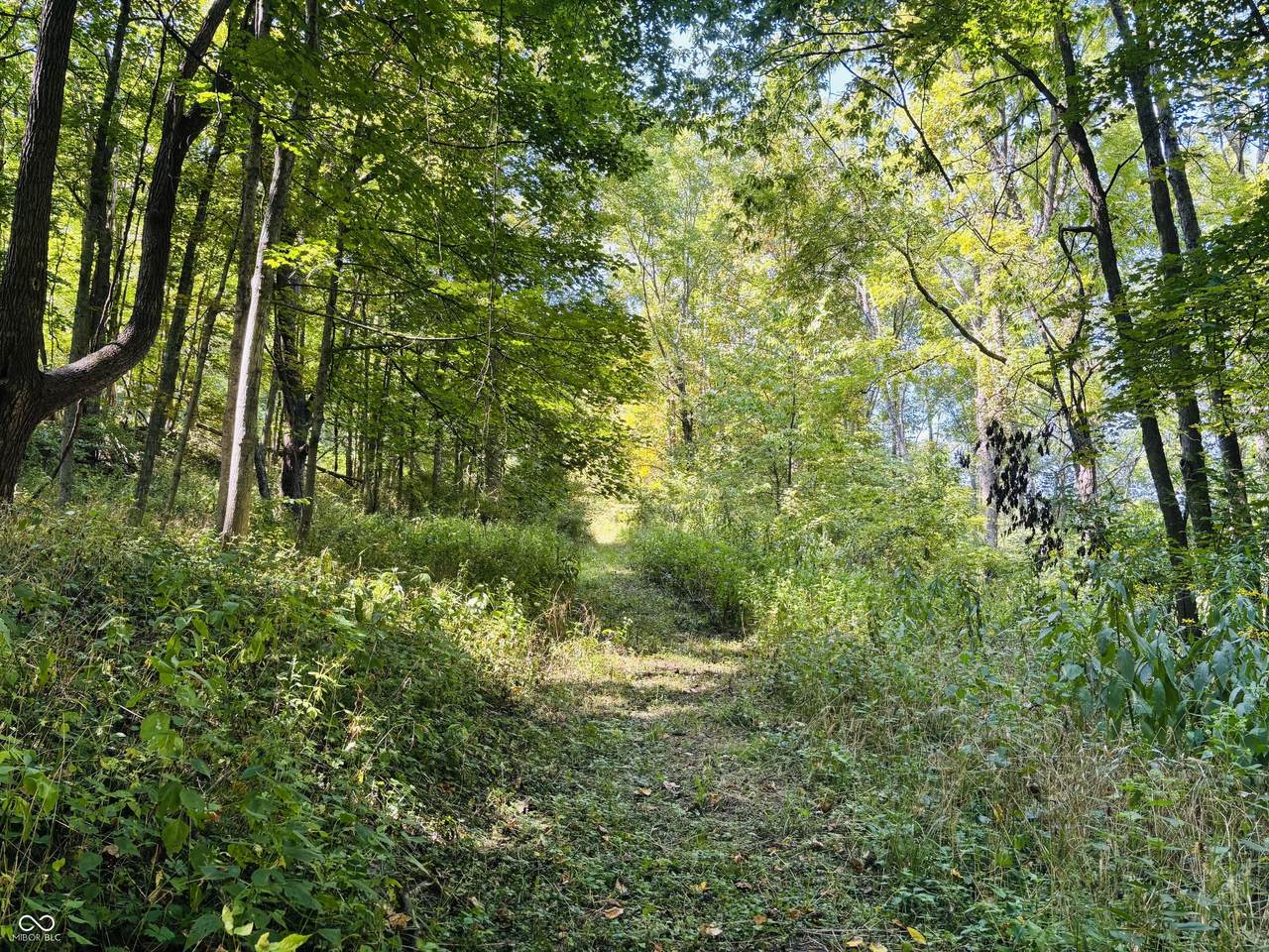 6546 State Road 121 - Photo 1