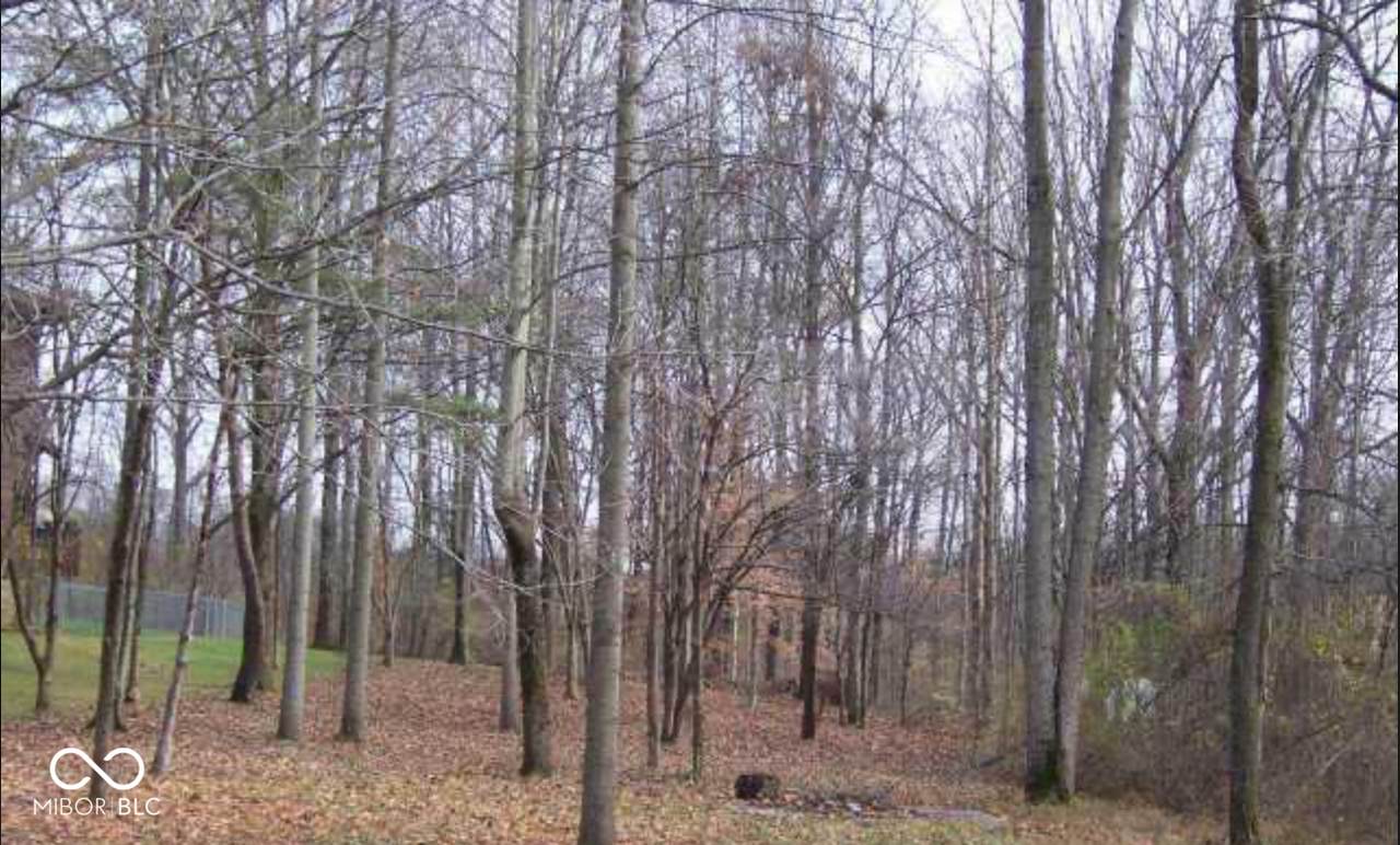 7427 Lion Drive - Photo 1